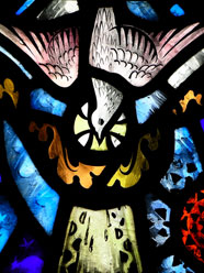 Appointments And Fees